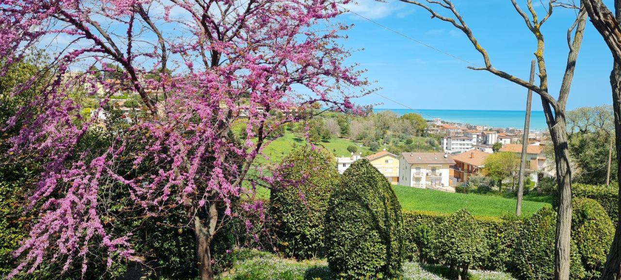 Villa Augusta Porto SantʼElpidio Exterior foto